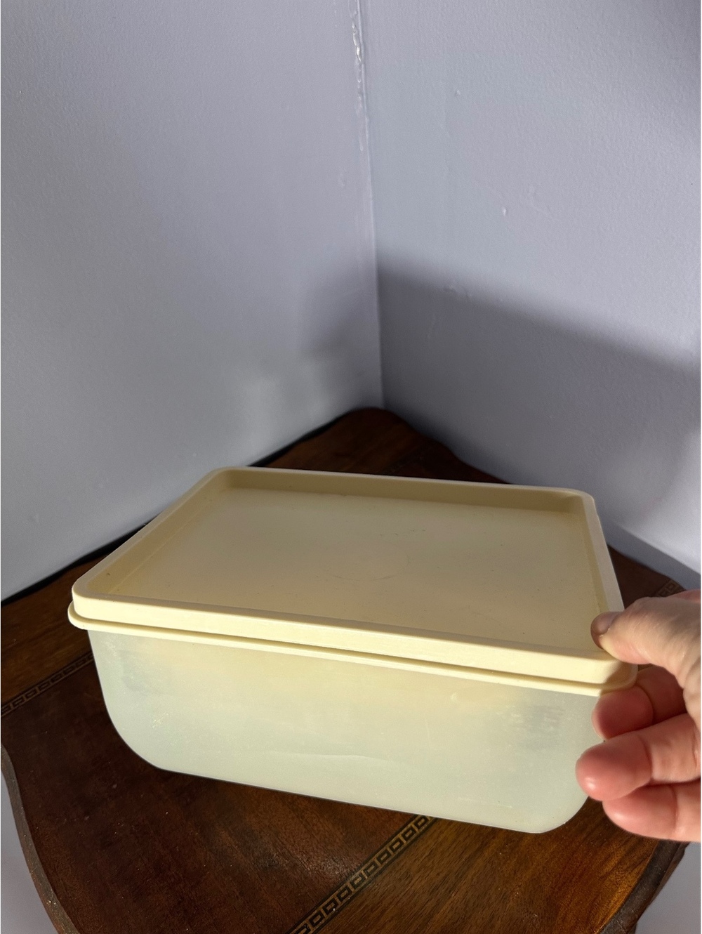 3 Nesting Food Plastic Storage Containers
